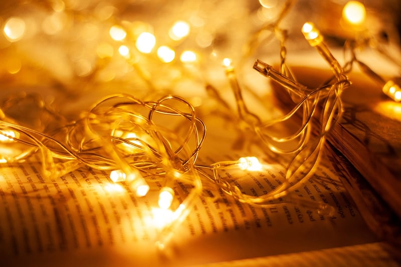 Tree Canopy Lights